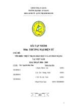 đề tài tìm hiểu thực trạng bảo mật và an toàn mạng tại việt nam giai đoạn 2006   2009