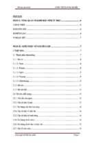 đề tài viên hạt nêm từ thịt