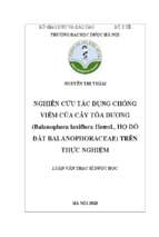 Nghiên cứu tác dụng chống viêm của cây tỏa dương (balanophora laxiflora hemsl., họ dó đất balanophoraceae) trên thực nghiệm