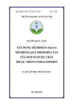Xây dựng mô hình in silico mô phỏng quá trình hòa tan của một số dược chất thuộc nhóm cephalosporin