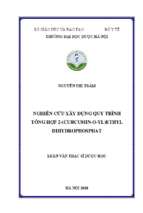 Nghiên cứu xây dựng quy trình tổng hợp 2 (curcumin o yl)ethyldihydrophosphat
