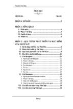 Luận văn từ điển việt nhật  