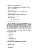 Tiểu luận chiến lược kinh doanh của ngân hàng thương mại cổ phần quân đội việt nam