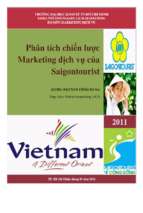 Phân tích chiến lược marketing dịch vụ của saigont