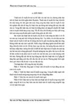 Tiểu luận thuật toán di truyền thích nghi song song