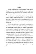 Tiểu luận nghiên cứu các phụ thuộc hàm theo thời gian thông qua hai quan điểm của wang và wijsen