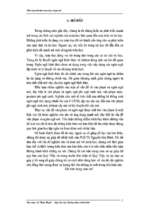 Tiểu luận nghiên cứu văn phạm và ngôn ngữ mờ