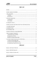 Báo cáo xây dựng cơ sở dữ liệu quản lý xuất nhập đĩa cho các cửa hàng vừa và nhỏ, áp dụng cho cửa hàng đĩa heaven