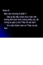 đề tài phương pháp tham lam