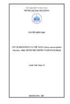 Thử nghiệm nuôi cá trê vàng clarias macrocephalus (gunther,1864) trong hệ thống tuần hoàn (ras)