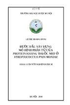 Bước đầu xây dựng mô hình phân tử của protein kháng thuốc mef ở streptococcus pneumoniae