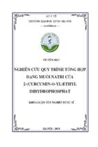 Nghiên cứu quy trình tổng hợp dạng muối natri của 2 (curcumin o yl)ethyl dihydrophosphat