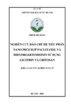 Nghiên cứu bào chế hệ tiểu phân nano phối hợp paclitaxel và dihydroartemisinin sử dụng lecithin và chitosan