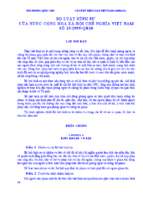 Bo Luat Hinh Su