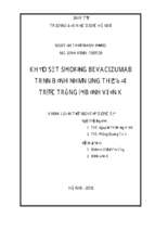 Khảo sát sử dụng bevacizumab trên bệnh nhân ung thư đại trực tràng ở bệnh viện k