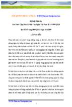 bo luat hinh su sua doi 2009