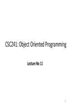 Object Oriented Programming (11)