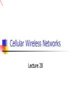 Wireless and Mobile Computing (12)