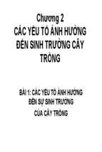 Do phi nhieu dat chuong 2 6458