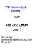 Computer Programming (13)