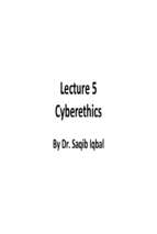 Professional Practices in Information Technology (4)