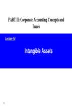 Issues in Financial Accounting (14)