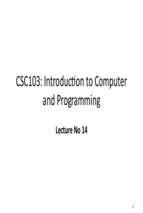 Computer and Programming (14)