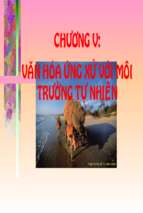 Cơ sở VHVNChuong 5