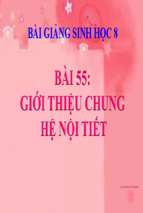 bai 55gioi thieu chung he noi tiet 234 1395286784