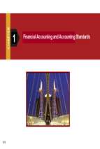 Issues in Financial Accounting (2)