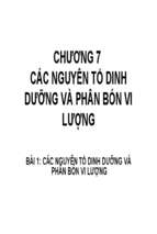 Do phi nhieu dat chuong 7 7452