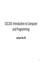 Computer and Programming (30)