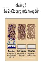 Khoa hoc dat c5b2 3788