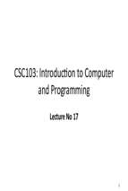 Computer and Programming (17)