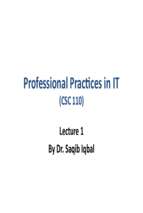 Professional Practices in Information Technology (1)