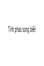 Tính phao song biển (TRÙNG)
