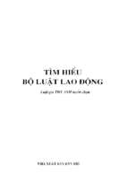 Tìm hiểu bộ luật lao động (nxb dân trí 2010)   thy anh, 148 trang