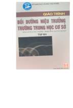 Thcn.giáo trình bồi dưỡng hiệu trưởng trường trung học cơ sở tập 3 (nxb hà nội 2005)   chu mạnh nguyên, 342 trang