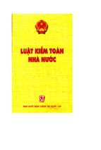 Luật kiểm toán nhà nước (nxb chính trị 2005)   nhiều tác giả, 65 trang