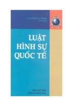 Luật hình sự quốc tế (nxb công an 2007)   nguyễn thị thuận, 321 trang