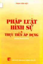Pháp luật hình sự và thực tiễn áp dụng (nxb giao thông vận tải 2003)   trịnh tiến việt, 375 trang