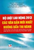 Bộ luật lao động 2013 các văn bản mới nhất hướng dẫn thi hành (nxb lao động 2013)   bùi thị kim ngân, 530 trang