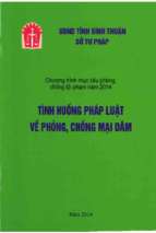 Tình huống pháp luật về phòng, chống mại dâm (nxb bình thuận 2014)   nhiều tác giả, 28 trang