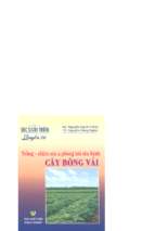 Bác sĩ cây trồng quyển 26 trồng chăm sóc & phòng trừ sâu bệnh cây bông vải, 89 trang