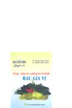 Bác sĩ cây trồng quyển 30 trồng chăm sóc & phòng trừ sâu bệnh rau gia vị   ks.nguyễn mạnh chinh, 95 trang