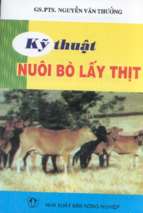 Kỹ thuật nuôi bò lấy thịt   gs.ts.nguyễn văn thưởng, 66 trang