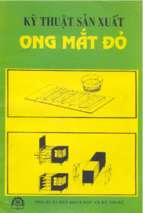 Kỹ thuật sản xuất ong mắt đỏ   trần huệ chi, 59 trang