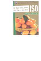 Kỹ thuật trồng, chăm sóc cây ăn quả theo iso quyển 5 cây xoài (nxb lao động 2006)   lê văn tố, 125 trang