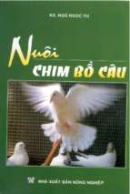 Nuôi chim bồ câu   ks.ngô ngọc tư