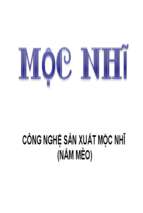 Slide.công nghệ sản xuất mộc nhĩ   nhiều tác giả, 49 trang